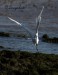 volavka stříbřitá (egretta garzetta)  El puerto de santa Maria - Cádiz